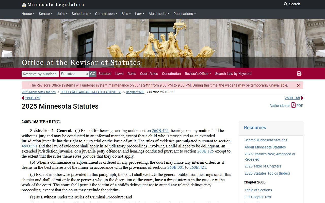 Minnesota juvenile access statute for limited traffic categories