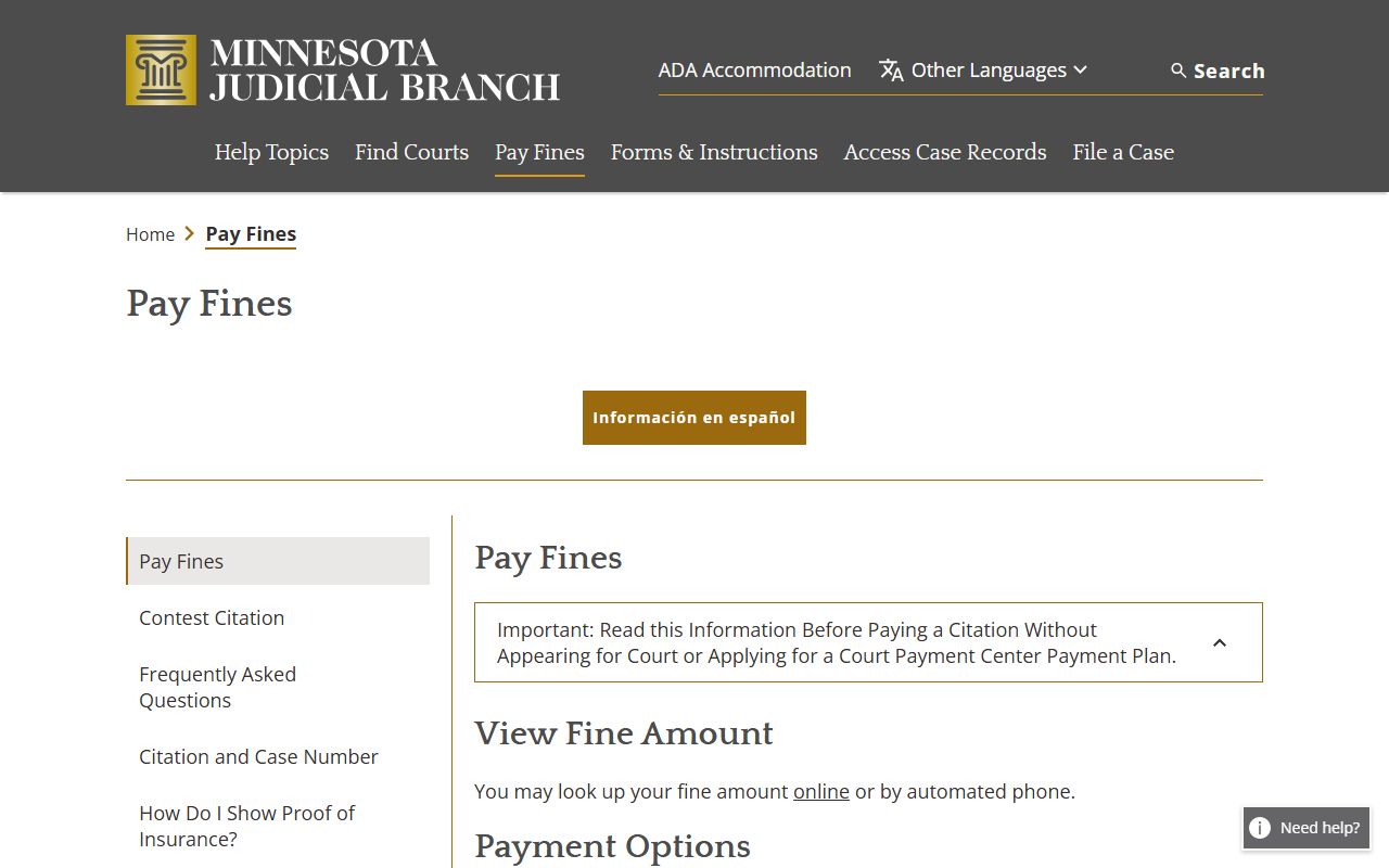 Minnesota pay a fine instructions for traffic and court payment